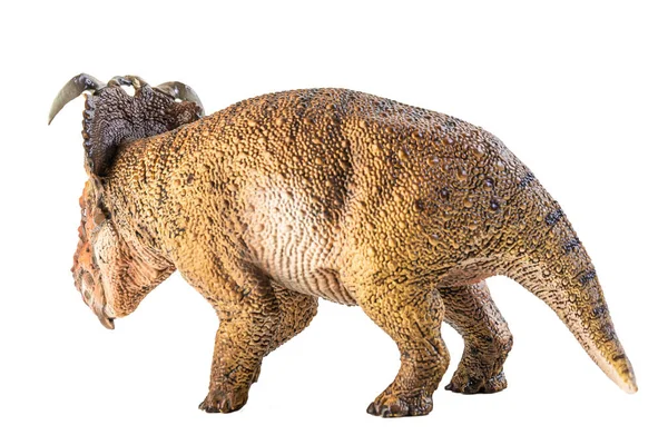 Pachyrhinosaurus Dinossauro Sobre Fundo Branco — Fotografia de Stock