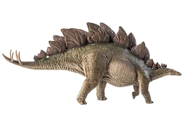 Beyaz Arkaplanda Stegosaurus Dinazoru — Stok fotoğraf