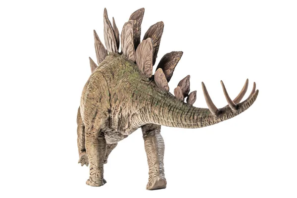Beyaz Arkaplanda Stegosaurus Dinazoru — Stok fotoğraf
