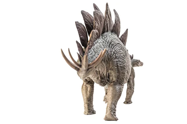 Stegosaurus Dinosaurus Witte Achtergrond — Stockfoto