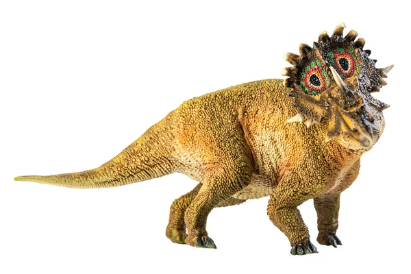 Sinoceratops Beyaz Arkaplanda Dinozor — Stok fotoğraf