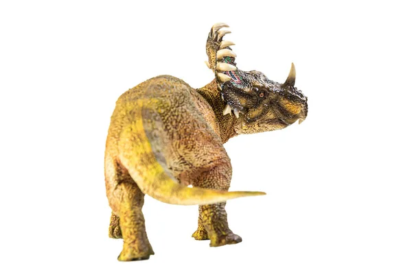 Sinoceratops Dinosaurie Vit Bakgrund — Stockfoto