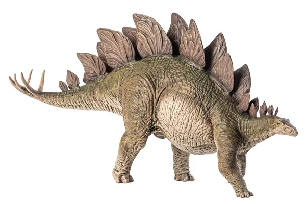 Stegosaurus Dinosaurus Witte Achtergrond — Stockfoto