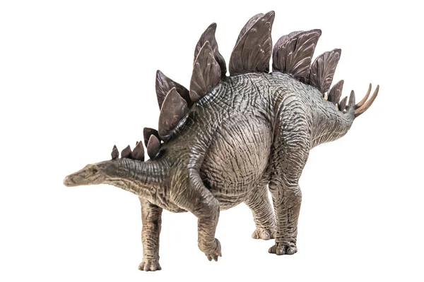 Stegosaurus Dinosaurie Vit Bakgrund — Stockfoto