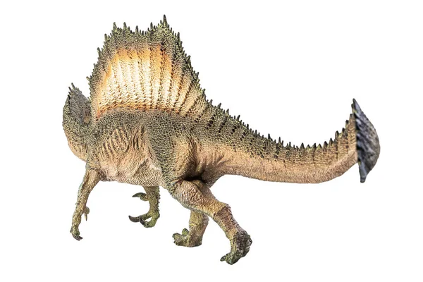 Spinosaurus Beyaz Arka Planda Dinozor — Stok fotoğraf