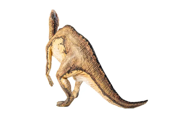 Parasaurolophus Dinosauro Sfondo Bianco — Foto Stock