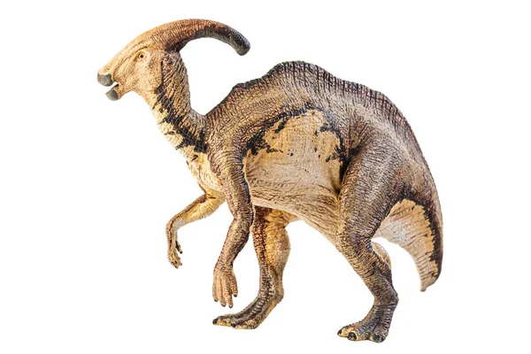 Parasaurolophus Dinosaurus Bílém Pozadí — Stock fotografie