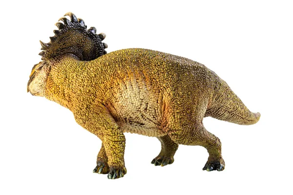 Sinoceratops Beyaz Arkaplanda Dinozor — Stok fotoğraf