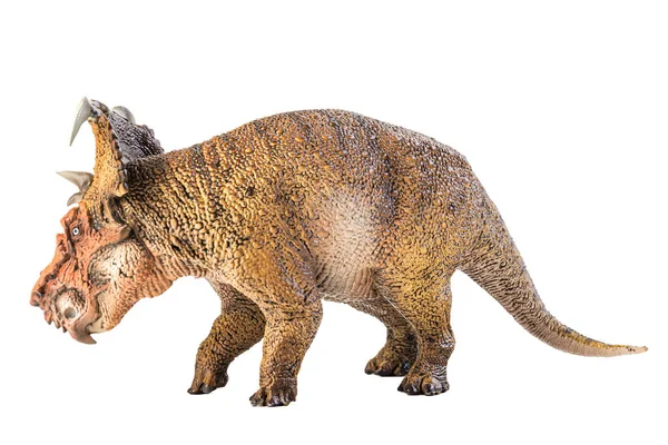 Pachyrhinosaurus Dinosaurio Sobre Fondo Blanco — Foto de Stock