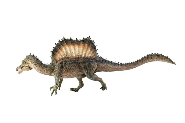 Spinosaurus Beyaz Arka Planda Dinozor — Stok fotoğraf