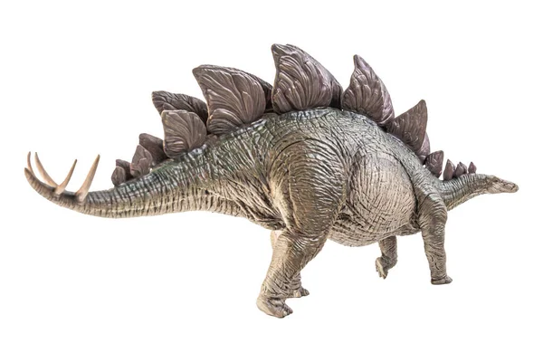 Stegosaurus Dinosaure Sur Fond Blanc — Photo