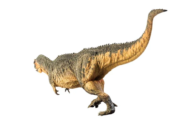 Giganotosaurus Dinosaurus Witte Achtergrond — Stockfoto