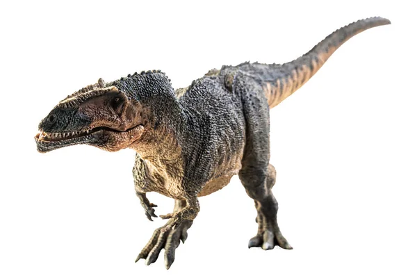 Giganotosaurus Dinosaurus Bílém Pozadí — Stock fotografie