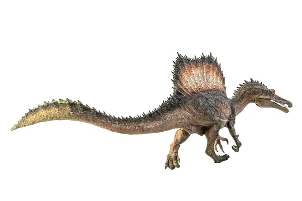 Spinosaurus Dinosaurio Sobre Fondo Blanco —  Fotos de Stock