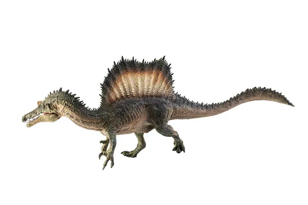 Spinosaurus Beyaz Arka Planda Dinozor — Stok fotoğraf