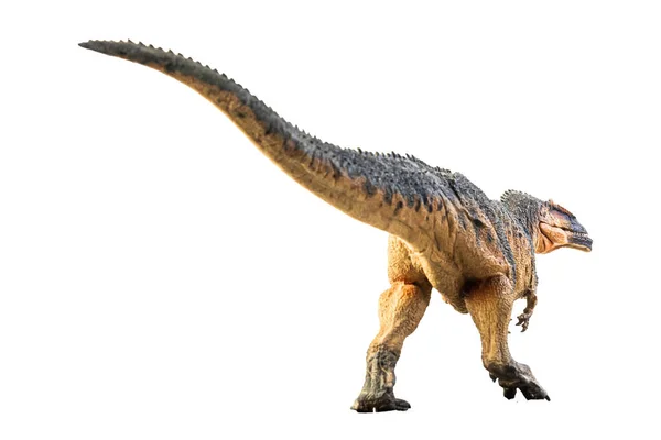 Giganotosaurus Dinosaurie Vit Bakgrund — Stockfoto