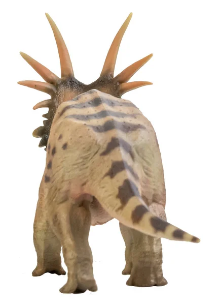 Styracosaurus Dinozoru Izole Arkaplanda — Stok fotoğraf