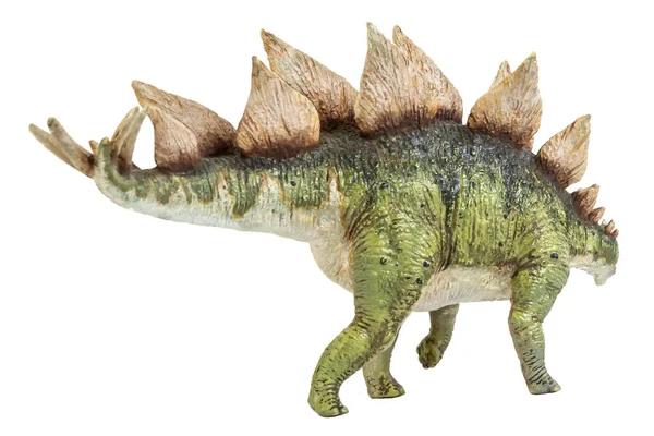 Stegosaurus Dinosaurie Isolat Bakgrund — Stockfoto