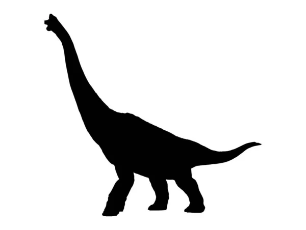 Brachiosaurus Dinosaur Isolated Background — Stock Vector