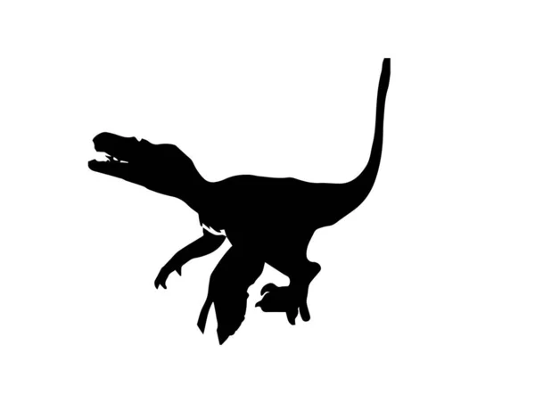 Gefiederter Velociraptor Dinosaurier Auf Weißem Hintergrund — Stockvektor