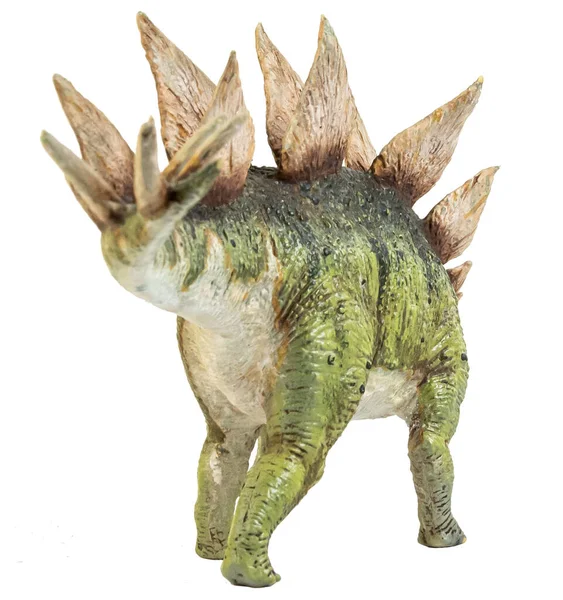 Dinossauro Stegosaurus Sobre Fundo Isolado — Fotografia de Stock