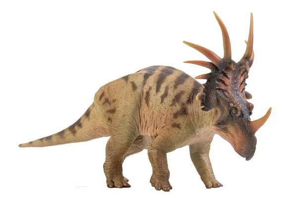 Dinossauro Styracosaurus Sobre Fundo Isolado — Fotografia de Stock