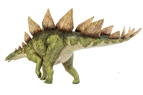 Stegosaurus Dinosaurie Isolat Bakgrund — Stockfoto