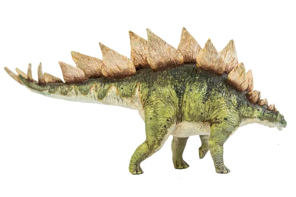 Stegosaurus Dinozoru Izole Arkaplanda — Stok fotoğraf