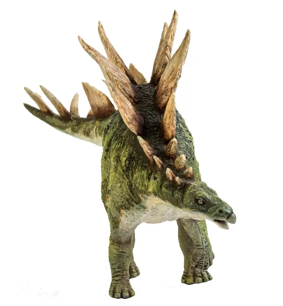 Stegosaurus Dinosaurus Geïsoleerde Achtergrond — Stockfoto