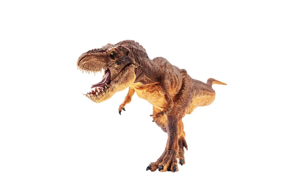 Tyrannosaurus Rex Dinosaurio Sobre Fondo Aislamiento — Foto de Stock