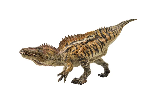 Acrocanthosaurus Dinosaura Bílém Pozadí — Stock fotografie