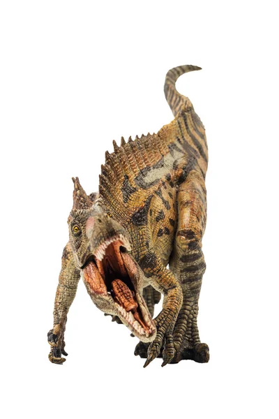 Acrocanthosaurus Dinosaurio Sobre Fondo Blanco — Foto de Stock