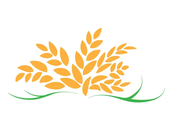 米または米の種子シンボルと農業機器 — ストックベクタ