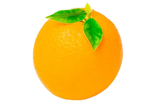 Πορτοκαλί Φρούτα Λευκό Φόντο — Φωτογραφία Αρχείου