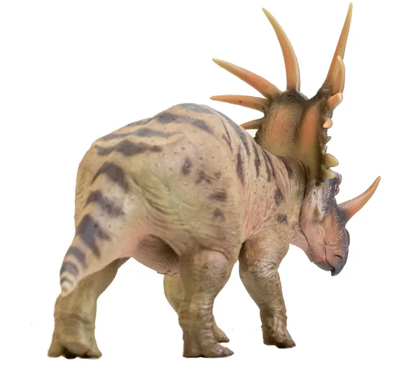 Styracosaurus Dinosaurus Geïsoleerde Achtergrond — Stockfoto