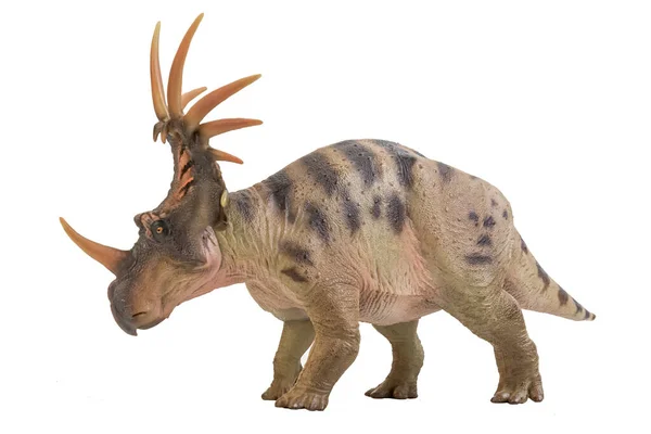 Dinosaurio Styracosaurus Sobre Fondo Aislado — Foto de Stock