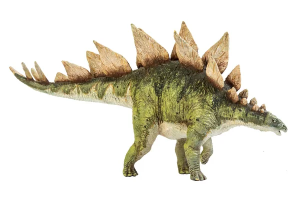 Stegosaurus Dinosaure Sur Fond Isolat — Photo