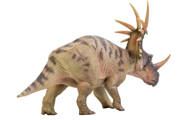 Styracosaurus Dinozoru Izole Arkaplanda — Stok fotoğraf