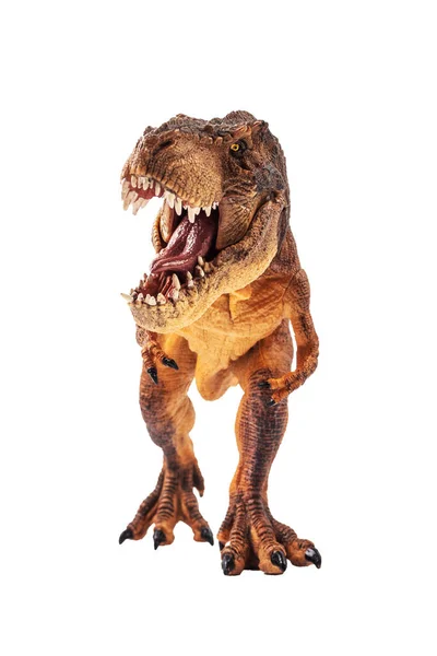 Tyrannosaurus Rex Dinosaurier Auf Isoliertem Hintergrund — Stockfoto
