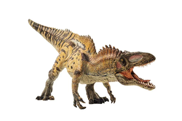 Acrocanthosaurus Dinosauro Sfondo Bianco — Foto Stock