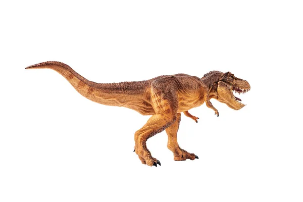 Tyrannosaurus Rex Dinosaure Sur Fond Isolement — Photo