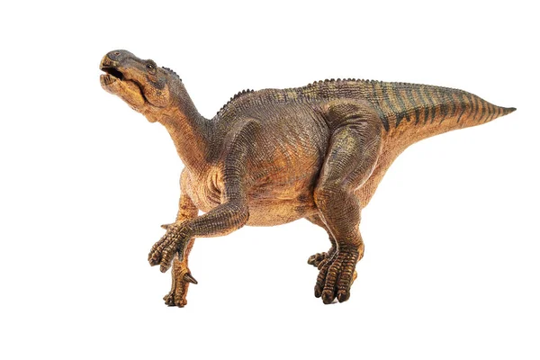 Fehér Alapon Dinoszaurusz Iguanodon — Stock Fotó