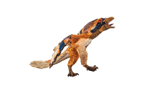 Archaeopteryx Dinosaurie Vit Bakgrund — Stockfoto