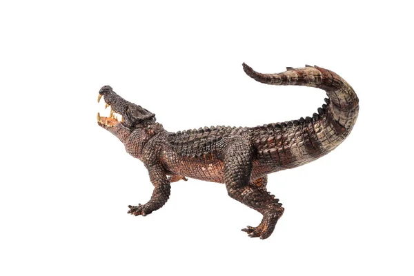 Kaprosuchus Dinosaurie Vit Bakgrund — Stockfoto