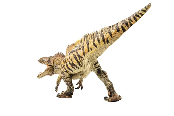 Acrocanthosaurus Dinoszaurusz Fehér Háttér — Stock Fotó
