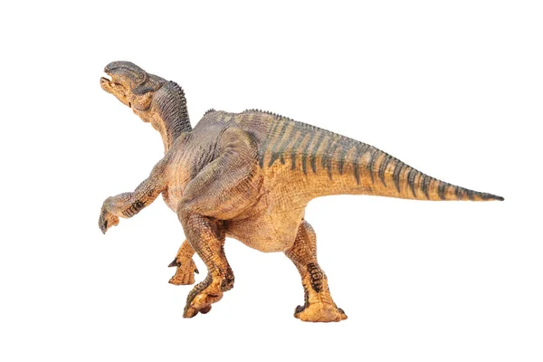 Iguanodon Dinosaurio Sobre Fondo Blanco — Foto de Stock