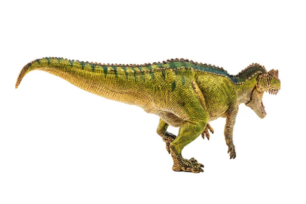 Ceratosaurus Dinosaura Bílém Pozadí — Stock fotografie