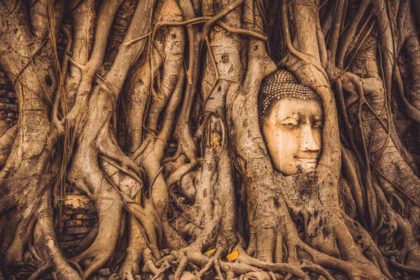 Thailand Romok Régiségek Ayutthaya Történelmi Park Turisták Világ Minden Tájáról — Stock Fotó