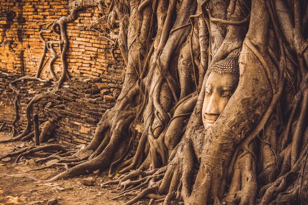 Tailandia Ruinas Antigüedades Parque Histórico Ayutthaya Turistas Todo Mundo Decaen —  Fotos de Stock