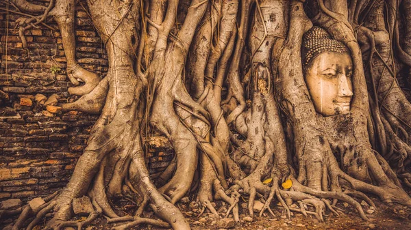 Thailand Ruínas Antiguidades Parque Histórico Ayutthaya Turistas Todo Mundo Buda — Fotografia de Stock